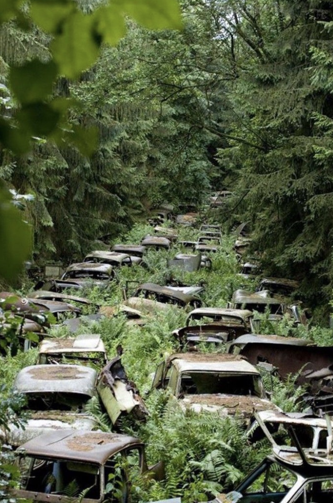 abandoned traffic jam in belgium